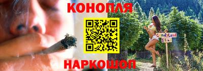 альфа пвп Брянск