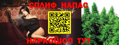 альфа пвп Брянск